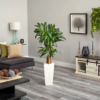 5ft. Cornstalk Dracaena Plant in White Tower Planter