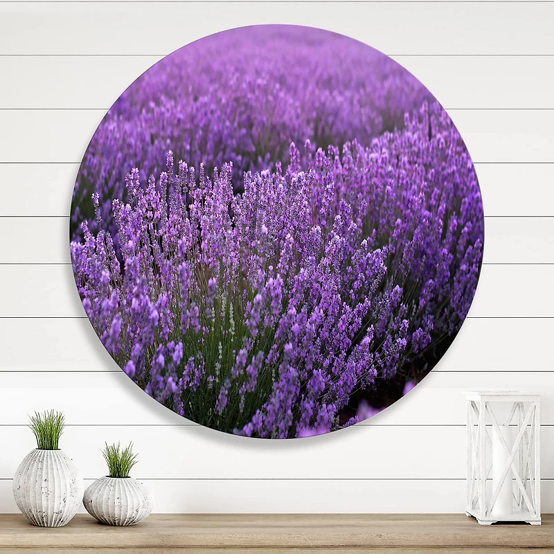 Designart - Blooming Purple Lavender Field