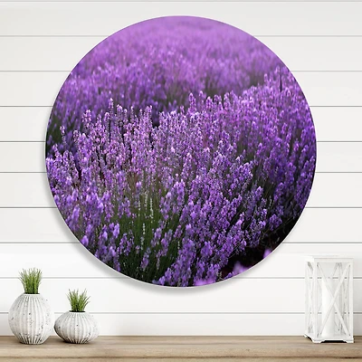 Designart - Blooming Purple Lavender Field