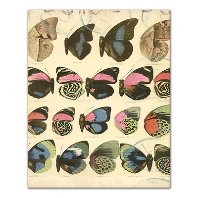 Cottage Butterflies 16" x 20" Canvas Wall Art