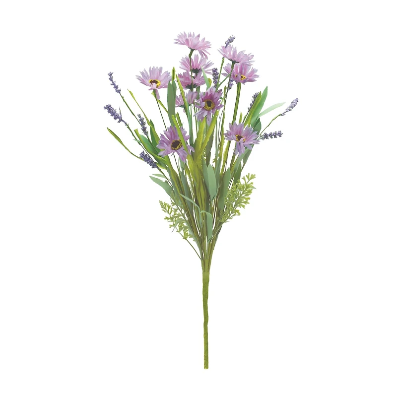 Purple Mixed Daisy Bush, 6ct.