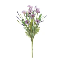 Purple Mixed Daisy Bush, 6ct.