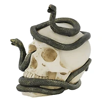 7.25" Snake-Entwined Skull Tabletop Décor by Ashland®