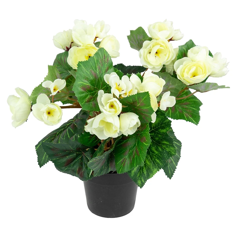 11" Cream Potted Silk Begonia Floral Arrangement