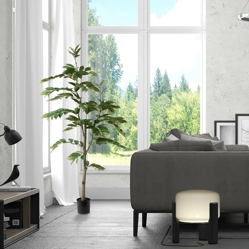 6ft. Potted Green Nandina Tree