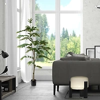 6ft. Potted Green Nandina Tree