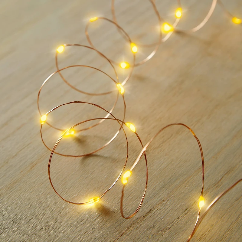 50ct. Amber/Orange LED String Lights by Ashland®