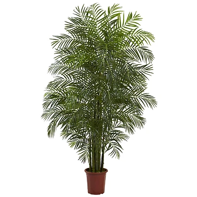 7.5ft. Potted Areca Palm Tree