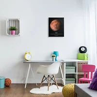 Stupell Industries Mars Red Planet Infographic Astrological Facts Outer Space Canvas Wall Art