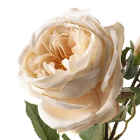 Toast English Rose Stem by Ashland®