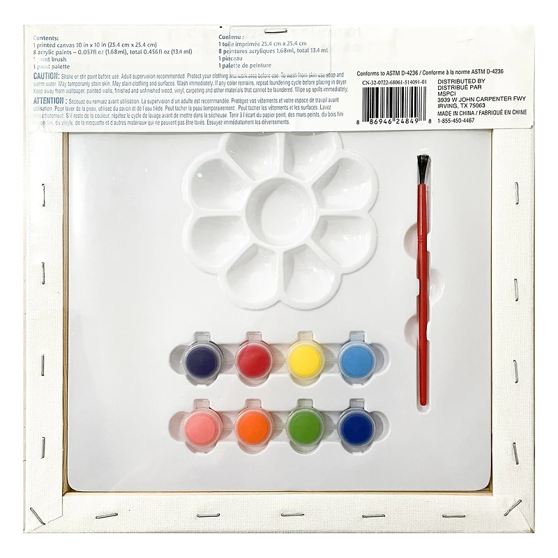 Assorted Canvas Paint Set by Creatology™