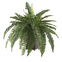 23" Boston Fern with Wicker Basket Planter