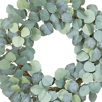 22" Eucalyptus Wreath by Ashland®