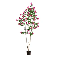 7ft. Potted Pink Minimalist Bougainvillea Tree