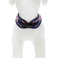Best Furry Friends RWB Harness