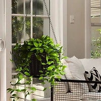 Sorbus 28" Brown Round Hanging Planters, 2ct.