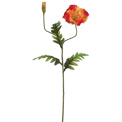 Tangerine Poppy Spray