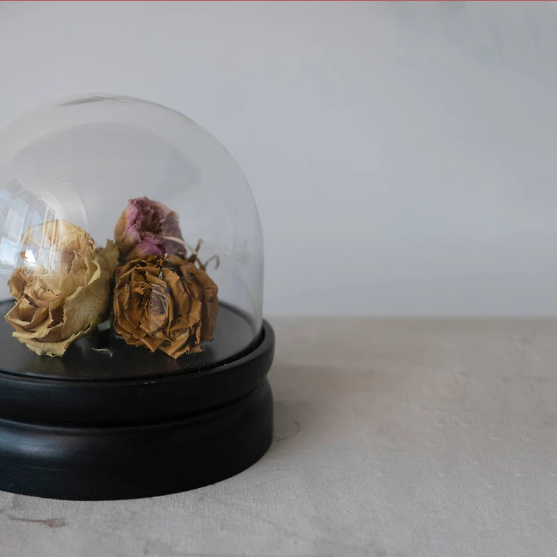 Hello Honey® 8.5" Glass Cloche with Black Mango Wood Base Set