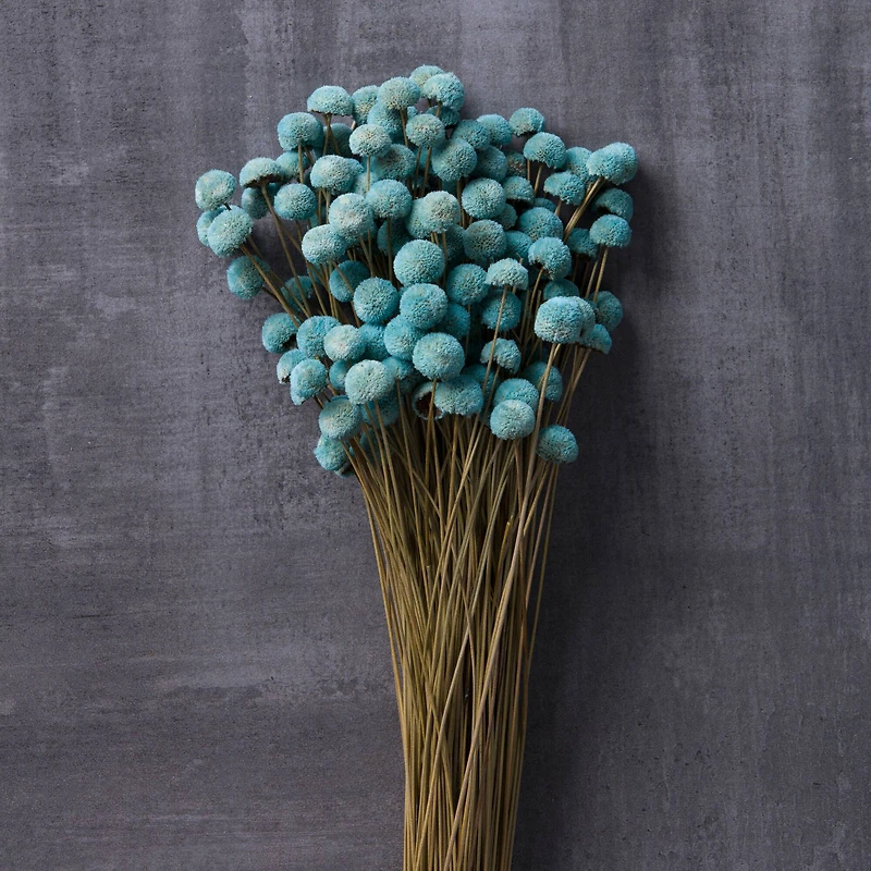 Slate Blue Floral Button Bundle by Ashland®