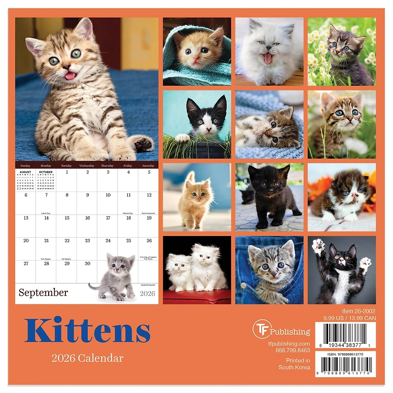 2026 Kittens Mini Calendar