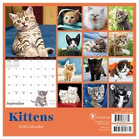 2026 Kittens Mini Calendar