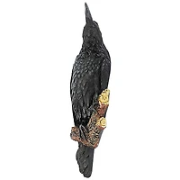 Design Toscano 18" The Raven's Perch Wall Sculpture Set