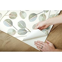 RoomMates Cat Coquillette Eucalyptus Peel & Stick Wallpaper