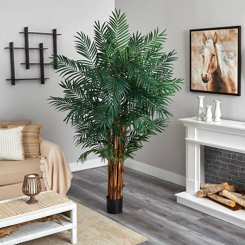 7ft. Potted Areca Palm Tree