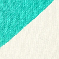 Liquitex® Professional Clear Gesso Surface Prep Medium