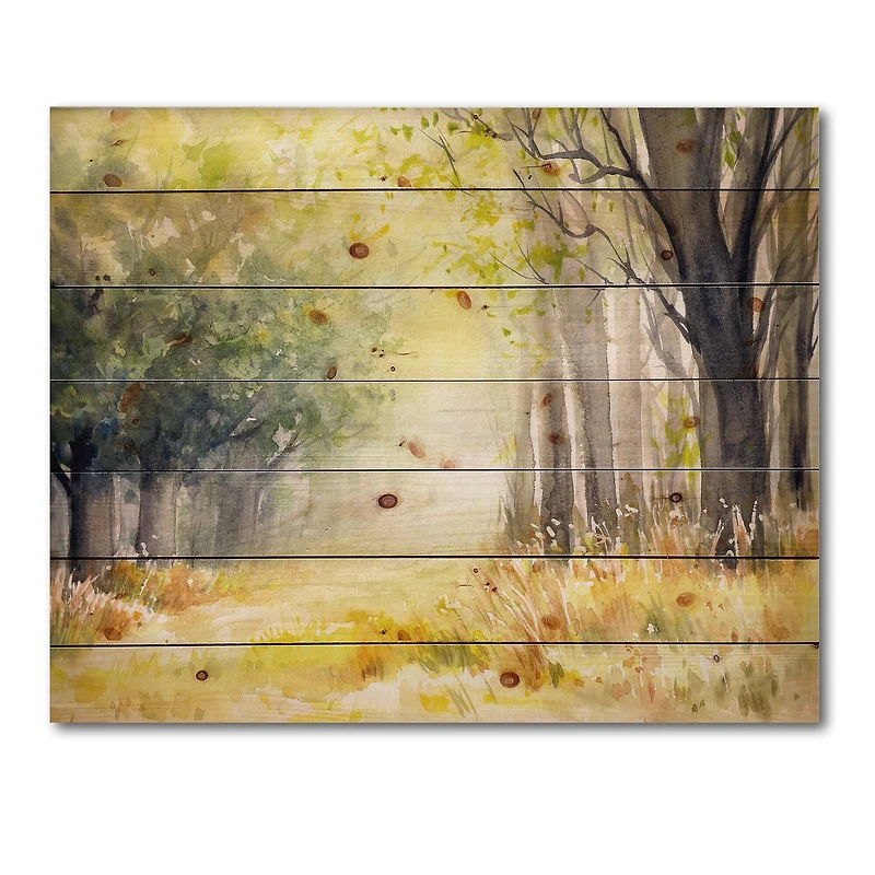 Designart - Bright Sunshine Through The Forest Trees IV