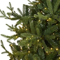 7ft. Pre-Lit Swedish Fir Artificial Christmas Tree with Warm White LED Lights