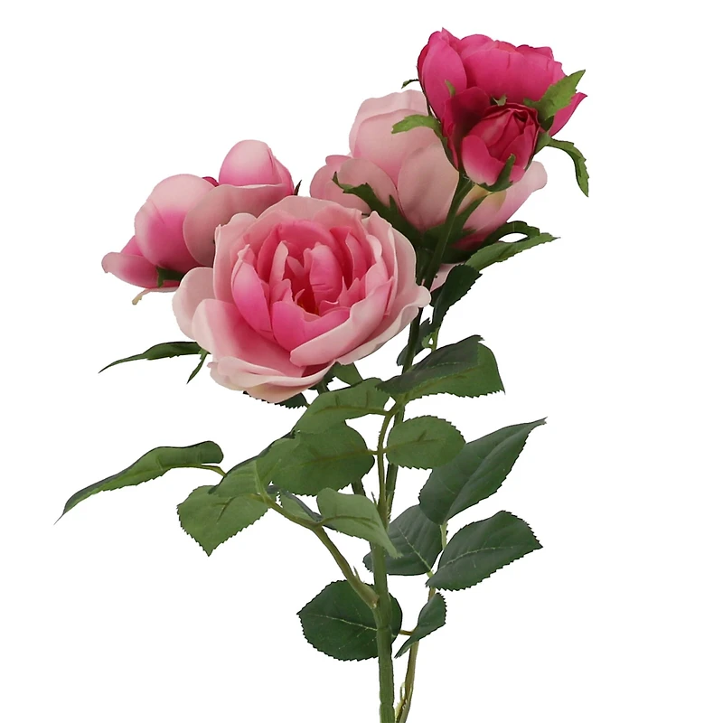 27" Pink Multi Rose Real Touch Stem by Ashland®