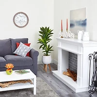 4ft. Dracaena Plant in White Planter with Stand