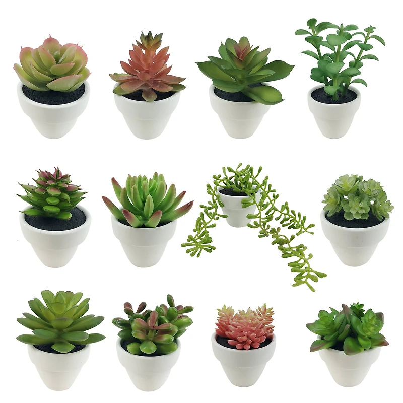 Assorted Micro Potted Succulent, 1pc. by Ashland®