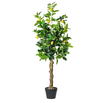 4ft. Potted Lemon Tree