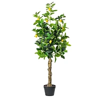 4ft. Potted Lemon Tree