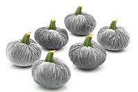 Flora Bunda® Gray Velvet Pumpkins, 6ct.