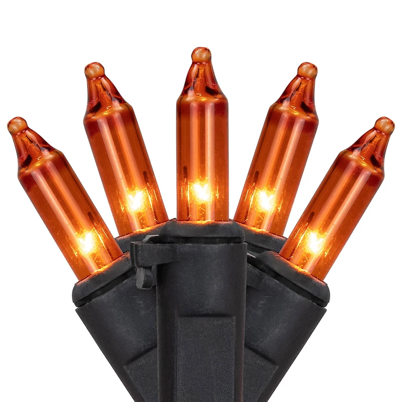 50ct. Mini Christmas String Lights with Black Wire