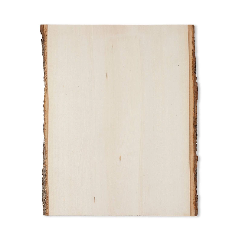 12 Pack: 13" Basswood Rectangle Plaque by Make Market®