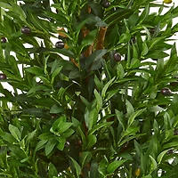 4.5ft. Potted Olive Cone Topiary Tree