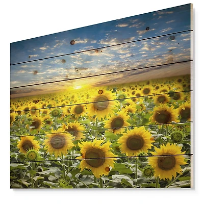 Designart - Field of Blooming Sunflowers