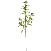 35" Green Viburnum Stem by Ashland®