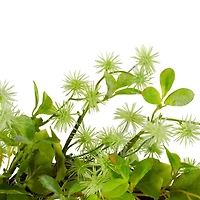 18" Green Jujube Floral & Foliage Springtime Wreath