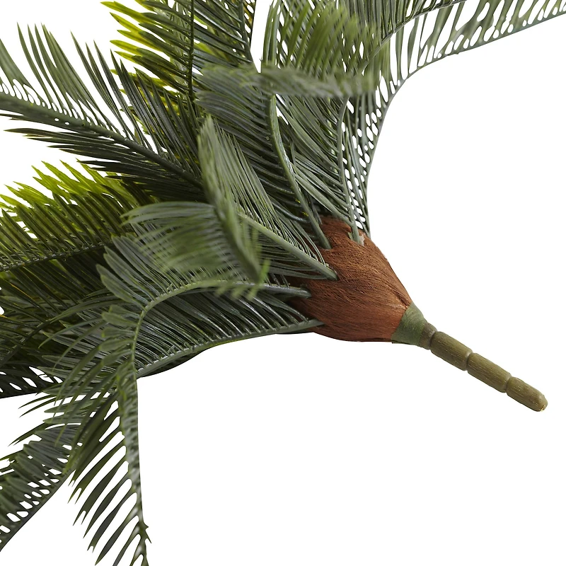 Green Cycas Pick, 2ct.