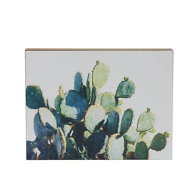 7.75" Cactus Photo Tabletop Décor by Ashland®