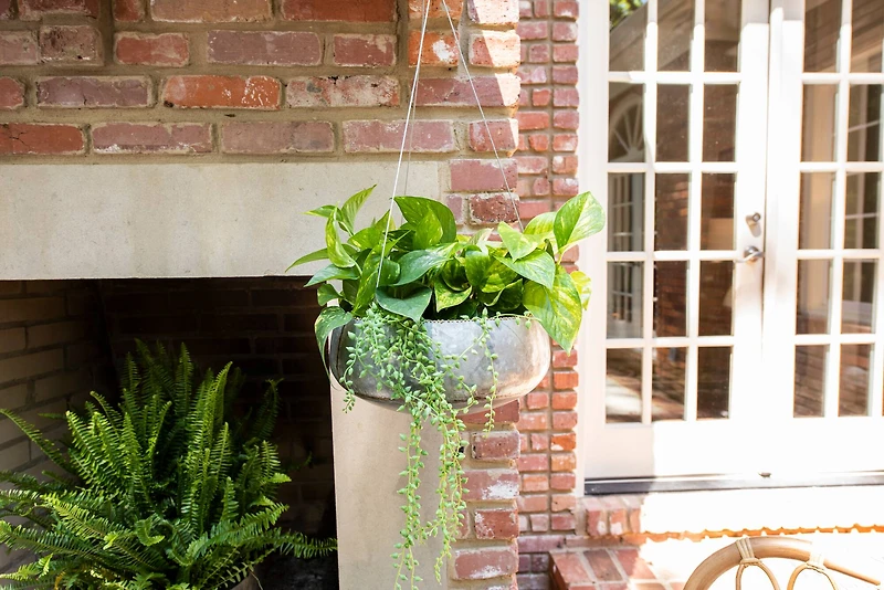 Hello Honey® 41" Faux String of Pearl Pick