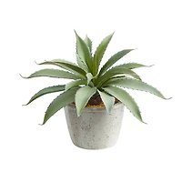 9" Potted Aloe Succulent Plant