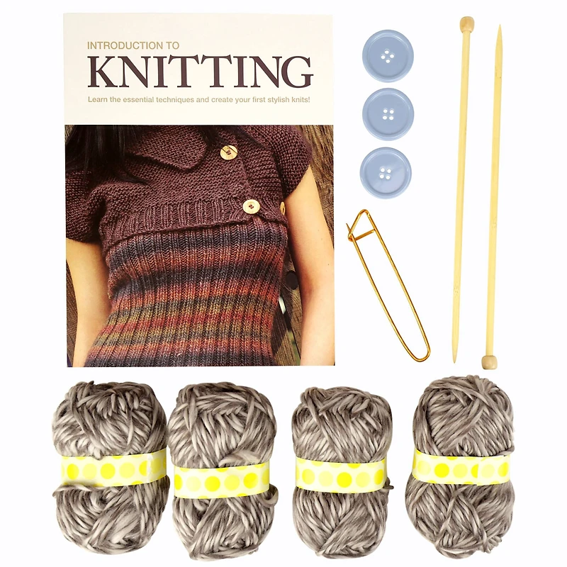 SpiceBox Introduction to Knitting Kit