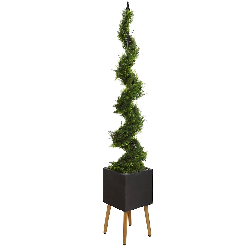 6.25ft. Cypress Spiral Tree in Black Planter with Stand