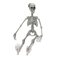 35" Jointed Hanging Skeleton Halloween Decoration